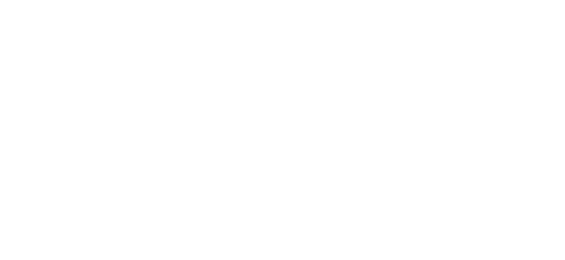 Visa Verified Payments